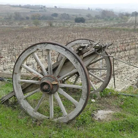 Can Xarxinet La Almunia
